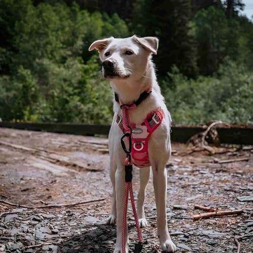 Tactical Dog Harness for Large Dogs (Camo - Pink Camo / XL(Neck:20-31",Chest:26-42"),75-135 lbs)