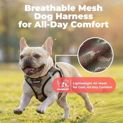 Voyager Step in Air Dog Vest Harness (Army/Black Trim / XXXS (Chest: 11 - 12"))
