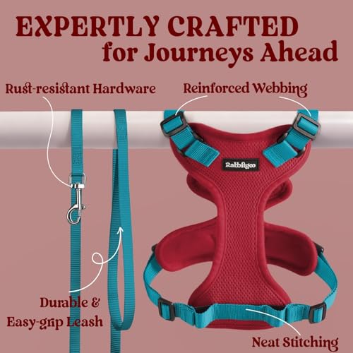 Cat Harness and Leash Set (M / Red & Teal)