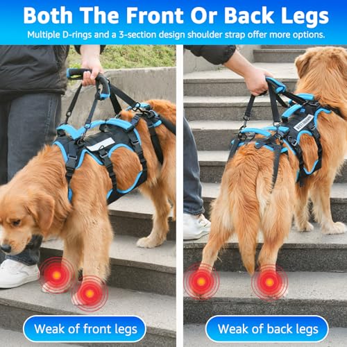 Dog Lift Harness for Extra Large Dogs (XX-Large / Black)