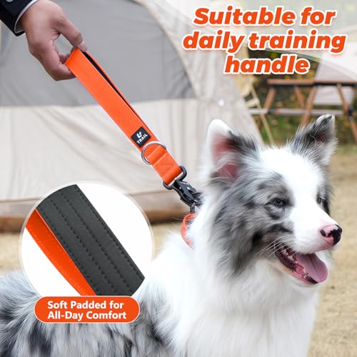 14 Inch Traffic Dog Leash with Padded Handle (Orange)