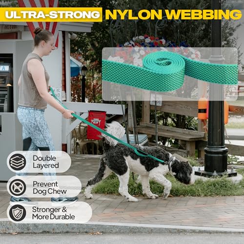 10 FT Heavy Duty Dog Leash (10 Feet (Pack of 1) / Teal)