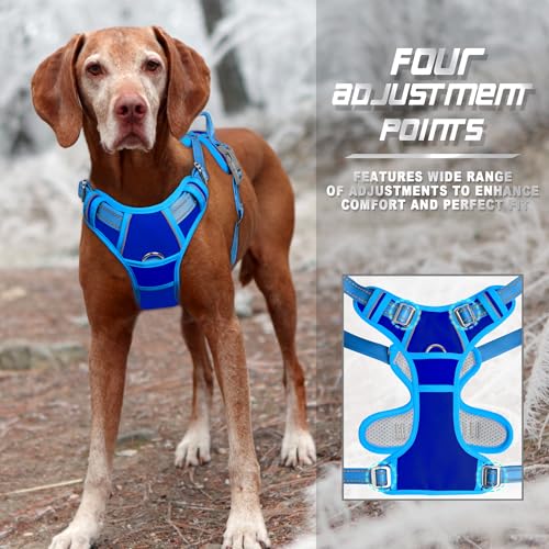 Dog Harness No Pull for Large Dogs Front Back Clips (Large(Chest:24.5-32.5") / Sapphire Blue & Blue)
