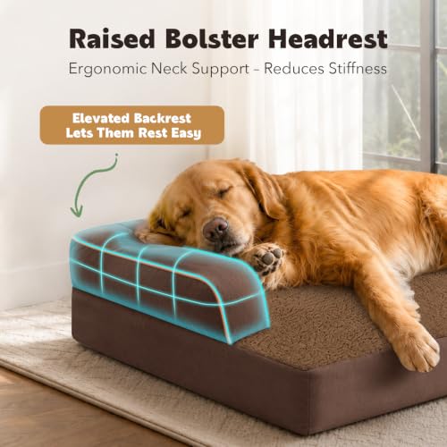 Orthopedic XL Dog Bed with Bolster for Extra Large Size Dogs (42.0"L x 30.0"W x 8.0"Th / Coffee)