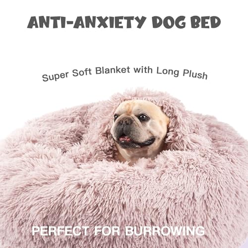 Covered Medium Dog Bed with Blanket Attached Calming Burrow Beige (26.0"L x 26.0"W x 9.0"Th / Beige)