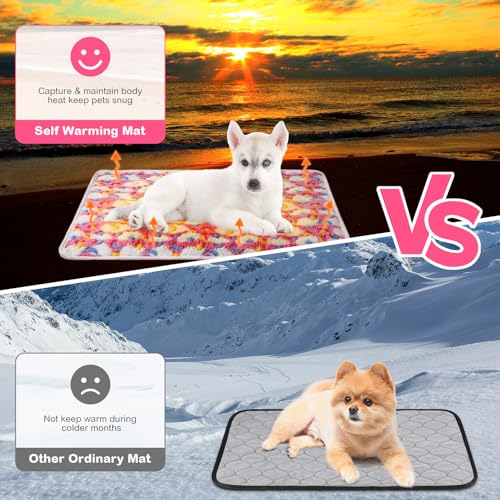 4 Pack Self Heating Cat Bed Cat Self Warming Pad with Removable Cover Extra Warm Thermal Pet Pad Washable Pet Crate Mat Anti Slip Kennel for Indoor Outdoor Pets (16 x 20 Inches)