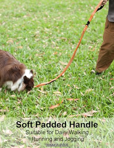 Heavy Duty Dog Leash (Orange)