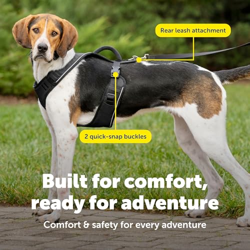 EasySport Dog Harness (Large / Black)