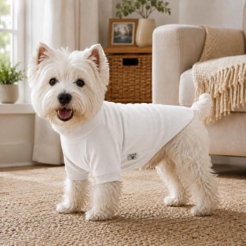 Ribbed Dog T Shirt Cotton Knitted Dog Sweaters for All Season Pet T (2XL (for Medium Large Dog) / Off white)