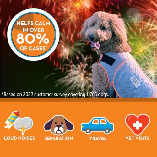 for Dogs Calming Anxiety Vest (Medium / Platinum)