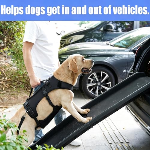 Dog Lift Harness for Large Dogs (Black / XL)