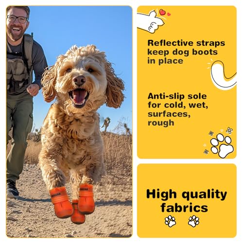 Dog Shoes for Dogs (Orange / Width 1.77 in)