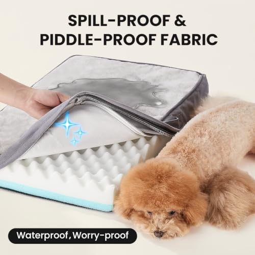 Orthopedic Waterproof Small Dog Bed (24"x 16"x 3” (For Sprawling) / 01-Gray)
