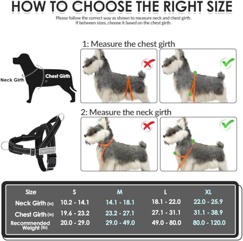 No Pull Dog Harness and Leash Set (Black / Medium)