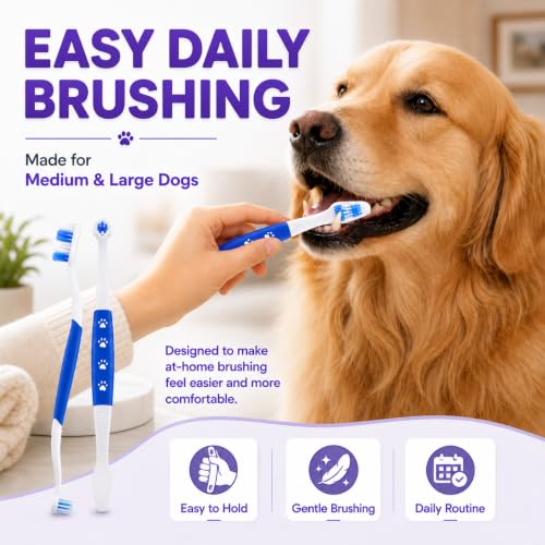 Dog Toothbrush (Blue / 1 Count (Pack of 6))