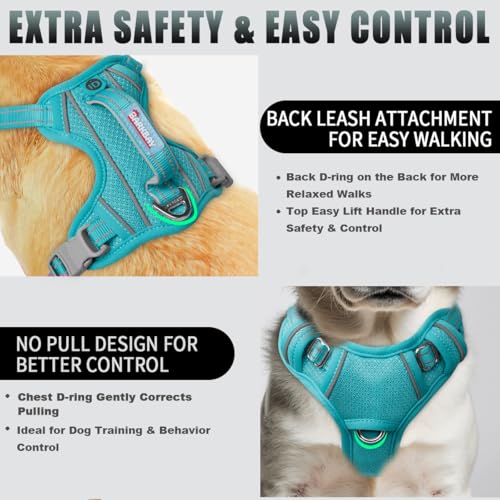 Dog Harness for Small Sized Dog No Pull Dog Vest ID Tag Pocket (Ocean Blue / Small)