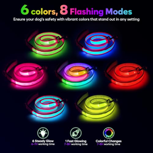 4 Ft Multi Color Light up Dog Leash (4 FT (Pink))