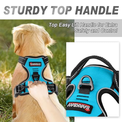 Dog Harness No Pull for Small Sized Dog Front Back Clips (X-Small(Chest:15.5-19.5”) / Blue)
