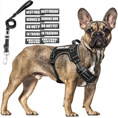 Tactical Dog Harness and Leash Set Medium Sized Dog+10 Dog Patches (Medium / Black)