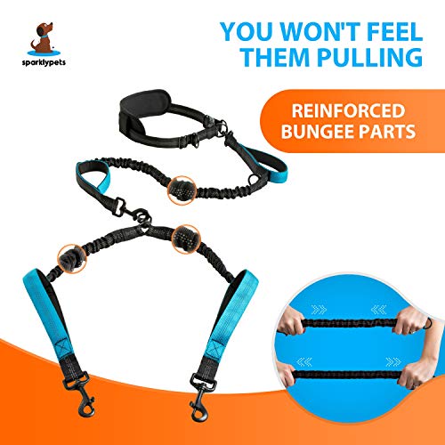 Hands Free Dual Dog Leash (Blue / 2 dogs M/L)