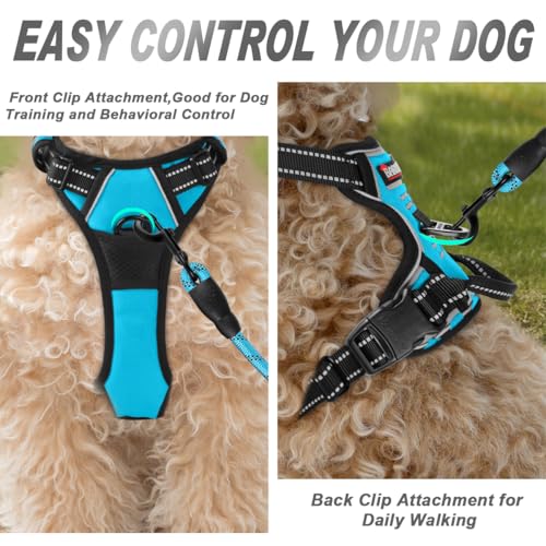 Dog Harness No Pull for Small Sized Dog Front Back Clips (X-Small(Chest:15.5-19.5”) / Blue)