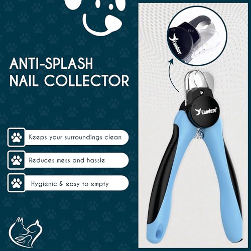 LED Dog Nail Clippers with Light (Sky Blue / Large to Medium pets)