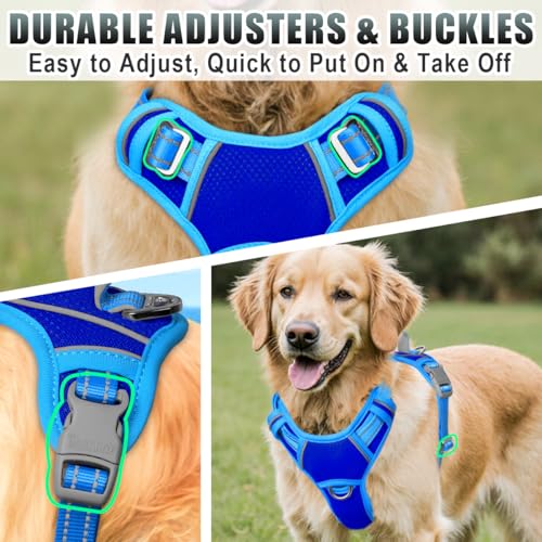 Dog Harness for Medium Sized Dog No Pull Dog Vest ID Tag Pocket (Sapphire Blue & Blue / Medium)