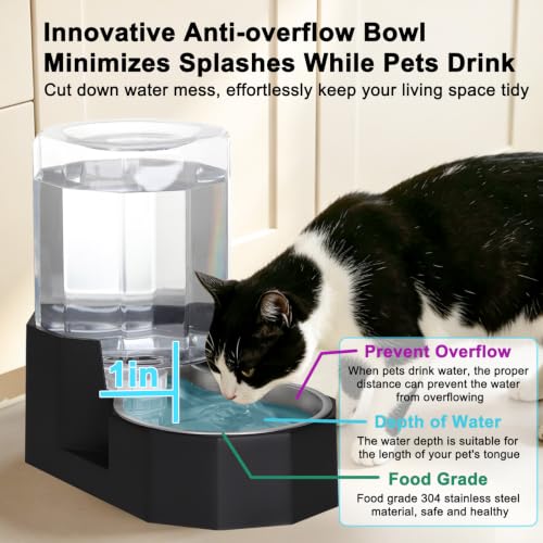 5L Cat Gravity Water Bowl Dispenser (Black / 5L Without Filter)