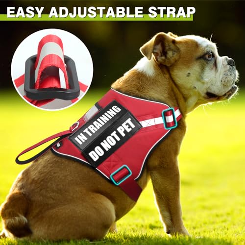 Service Dog Harness and Leash Set (X-Large / Red)