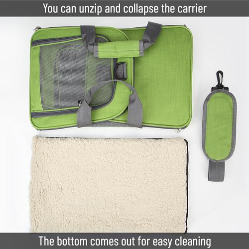 Pet Carrier 17.5" x 11.2" x 11.5" (Green)