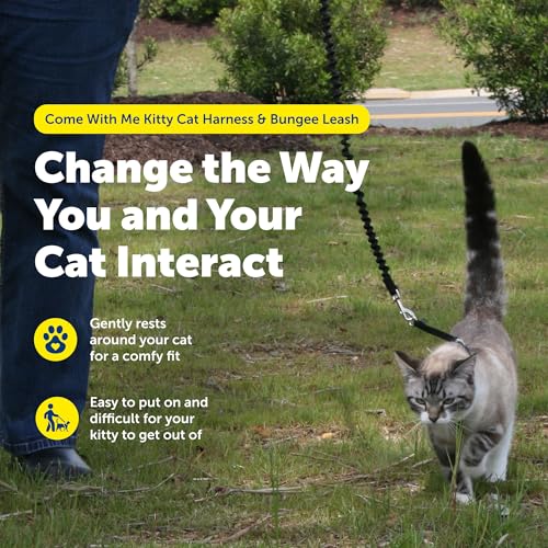 Come with Me Kitty Harness and Bungee Cat Leash (Medium (Pack of 1) / Royal Blue)