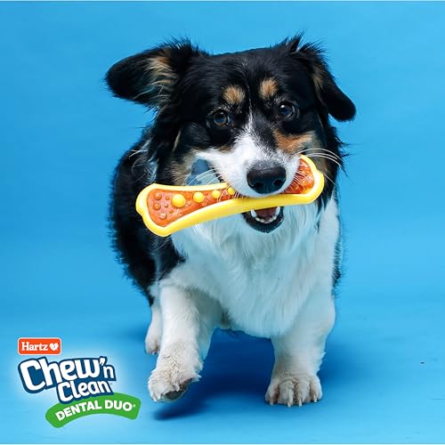 Chew 'n Clean Dental Duo Bacon Flavored Dental Dog Chew Toy and Treat (X-Small (Pack of 1) / 1 Count)