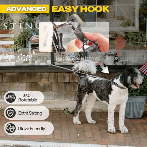 10 FT Heavy Duty Dog Leash (10 Feet (Pack of 1) / Grey)