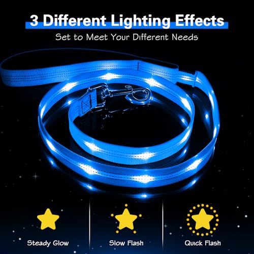 Light Up Dog Leash (Blue)