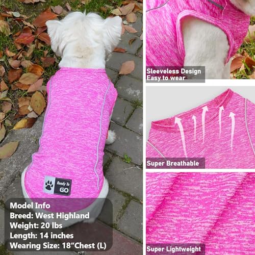 Reflective Dog Shirt (Medium (7-13lbs) / 4#Rose Red)