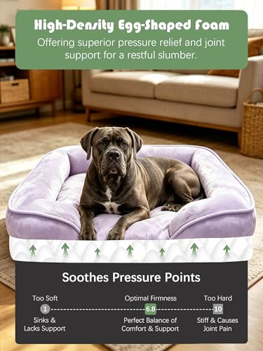 Orthopedic Dog Bed with Sides (53.0"L x 42.0"W x 8.0"Th / Purple)