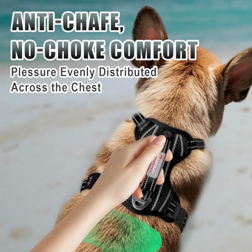 Dog Harness for Small Sized Dog No Pull Dog Vest ID Tag Pocket (Black / X-Small)