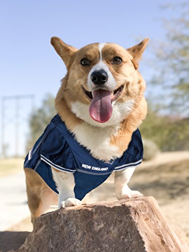 NFL NEW ENGLAND PATRIOTS DOG Jersey (Medium / New England Patriots)