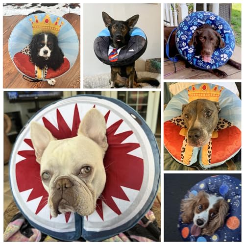 Dog Cone Alternative After Surgery for Large Medium Small Dogs (Blue Shark / XL(Neck 18"-21"))