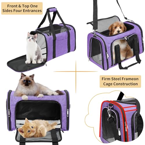 Soft Sided Cat (Purple / 17"L x 11"W x 11"H)