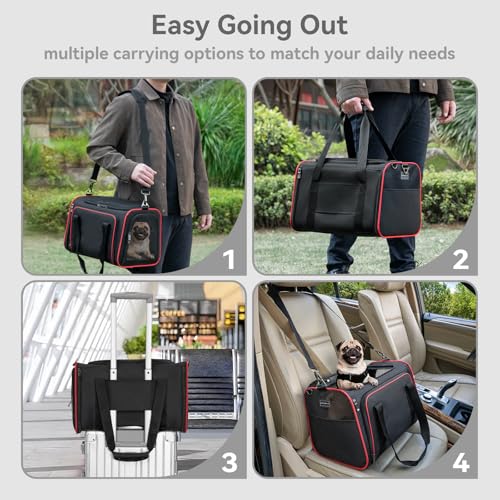 Large Expandable Cat Carrier for Travel (19"L x 12"W x 12"H / Black)