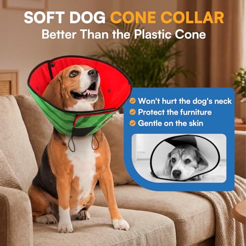 Soft Cone for Dogs (L / Watermelon)