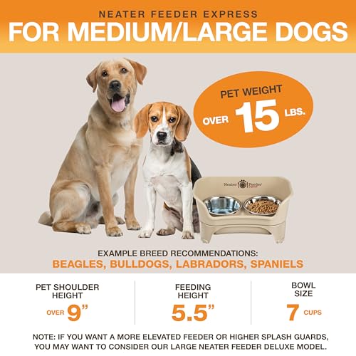 Express Mess Proof Dog Bowls Elevated for Medium to Large Sized Breed (Medium to Large w/ Standard Bowls / Almond)