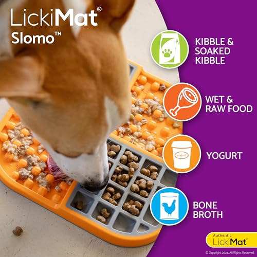 Slomo Dog Slow Feeding Lick Mat (Turquoise)