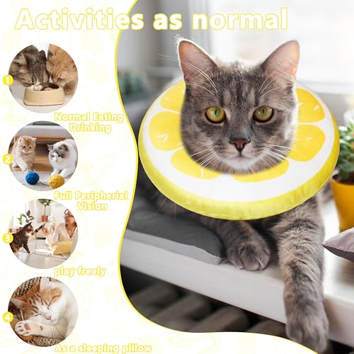 Cat Cone Collar Soft (Lemon / Large)