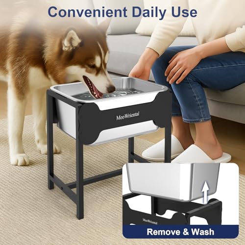 2.5 Gallon Elevated Dog Water Bowl for Large Breeds (14.2in Height)
