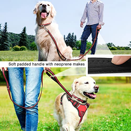 Pet Harness Collar and Leash Set (X-Large / Red)
