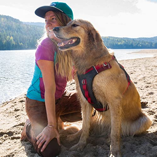 Journey Air Dog Harness (Medium / Red)