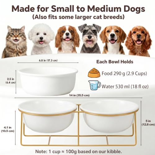 Large Small Double Elevated Dog Bowls (Large / White×2)