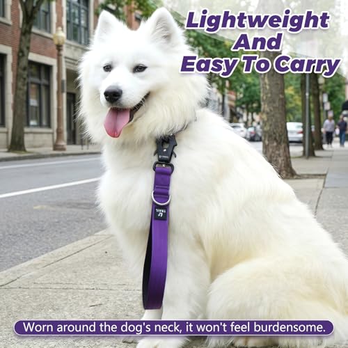 14 Inch Traffic Dog Leash for Large Dogs (Purple)